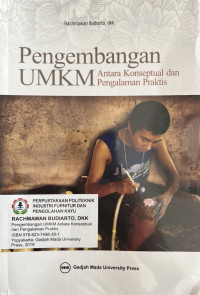 Image of Pengembangan UMKM : Antara Konseptual dan Pengalaman Praktis